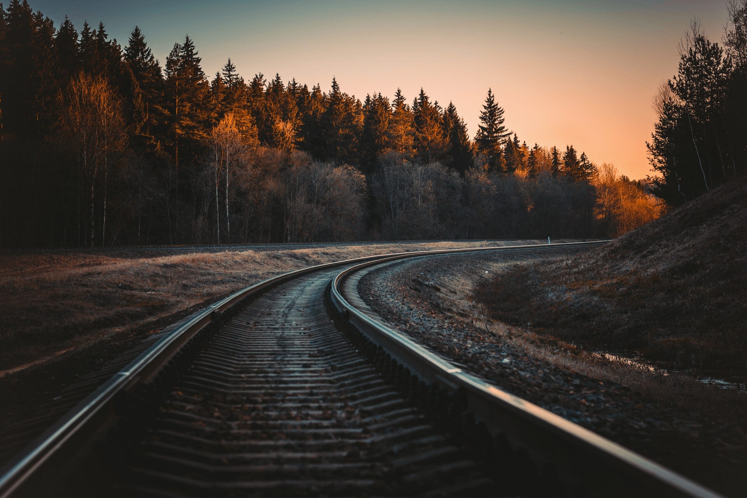 Rail tracks along a forest at sunset