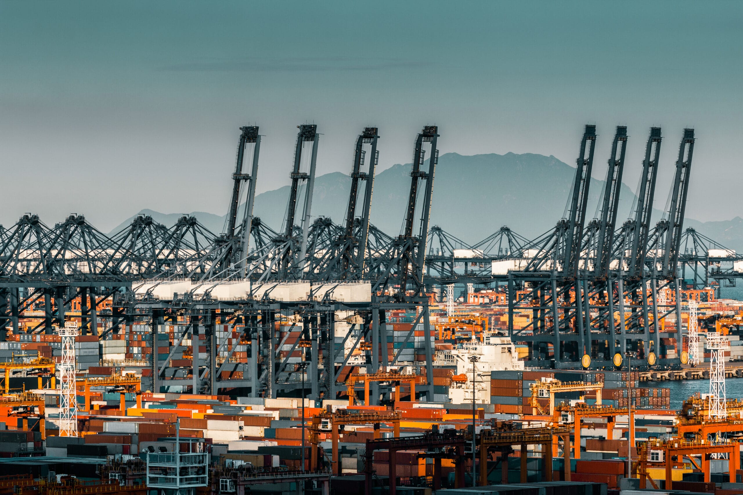 Ocean container terminal in shanghai international shipping center